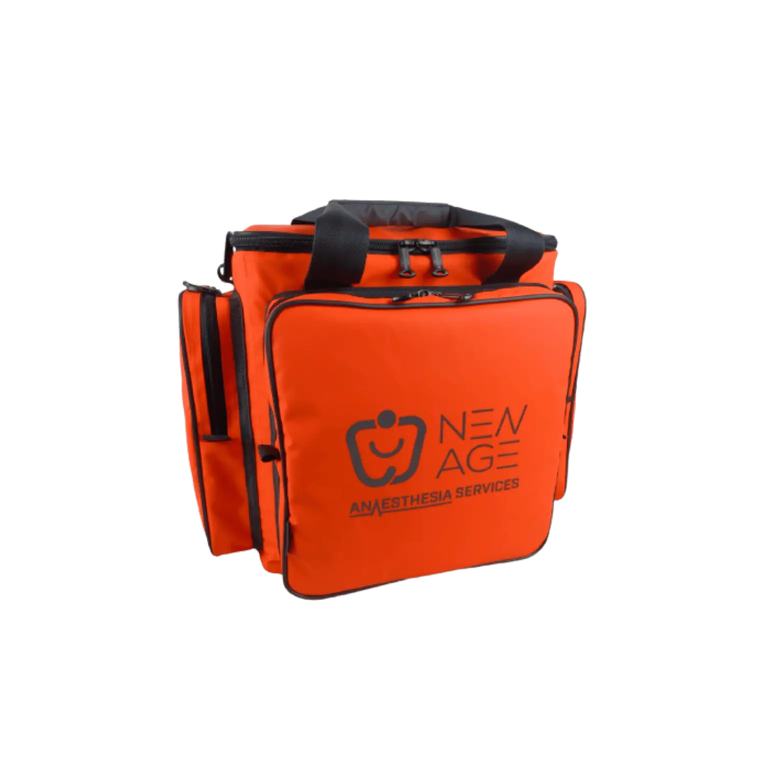 BeneView Monitor Case