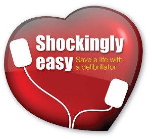 shockinglyeasy-logo 300x275